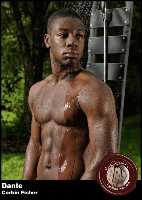 mecchocolat:  TOP 50 BLACK GAY PORN STARSGuys 21 -30 Included in this group is a guy called Daddy. And trust me, give him five minutes and you’ll want to call him that too. Brick is included in this group and he definitely should be featured in more