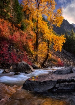 radivs:  October’s Embrace by Candace Bartlett Candace Bartlett: