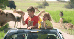 gifss-heaveen:  Daily dose of gifs! ! 