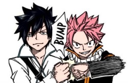 lieutenant-sarcastic:  Gray and Natsu being bros 