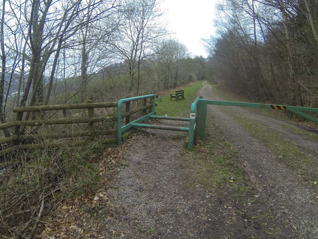 <p>The second horse walk over at Mynydd Machen.</p>