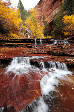 magicalnaturetour:  fall in fall by porbital   @countrygrl1234