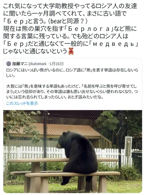 y-kasa:  emuson（えむそん）: 「これ気になって大学助教授やってるロシア人の友達に聞いたら一ヶ月調べてくれて、まさに古い語で「Бер」と言う。（bearと同源？）