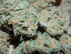 sweetstoner:  Blue Cheese 