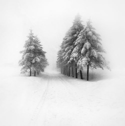 magics-secrets:  winter wonderland 
