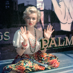 twixnmix:  Marilyn Monroe photographed by Milton H. Greene, 1956.On