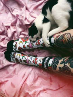 roseyjones: ✨ ozzy approves of the socks I designed for my