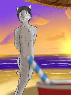 Another kitty guy on the beach