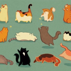 deerestcatblog:  kyungsoosbumhole:   Fat cats for you day   thank