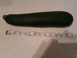 Hmmm…. my recipe calls for “large zucchini”.