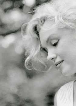 xxhorace:  Marilyn Monroe 