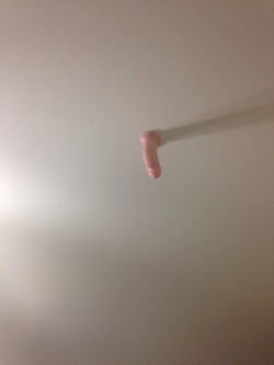 2srooky: Please help me get this fucking dick off my ceiling