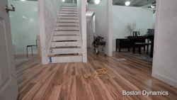 itsfullofstars:  010101:  Boston Dynamics giraffe robot is adorable