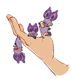 erikaschnellert:  I finally caught a noibat! Precious babbyyyy!