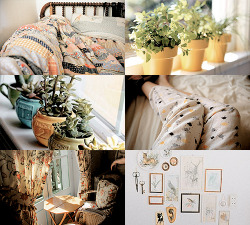pvffskein:   Hufflepuff bedroom aesthetic - for an anon who