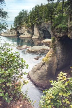 expressions-of-nature:  Rock Caves / Cape Flattery, WA by Victoria
