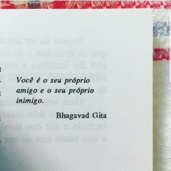 burradasdavida.tumblr.com/post/173051905088/