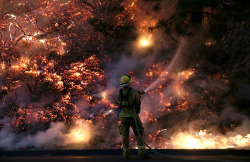 atlanticinfocus:  From Yosemite Wildfire, one of 34 photos. A