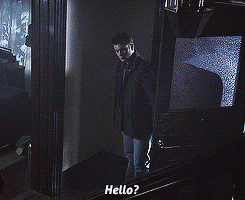 jensenacklesrocks:   