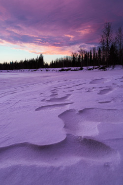 senerii:  Nikolai, AK - Iditarod Checkpoint by Micahhead on Flickr.