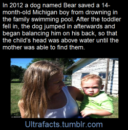 ultrafacts:  Source Follow Ultrafacts for more facts! 