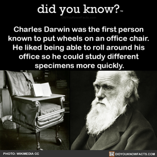 did-you-know:  Charles Darwin was the first person known to put