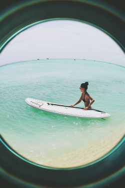 indie-braids:  picture from a few days ago from when i went paddleboarding
