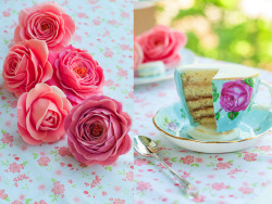 thecakebar:  Tea Cup Cakes Tutorial yes the actual tea cup is