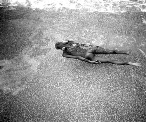 nevver: Adult Swim @Ramon_Jamar   Swim Nude