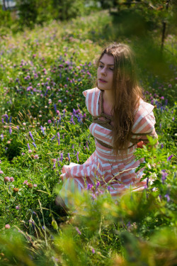 prometheev:@syrenkakinbaku in a flower fieldRope and picture