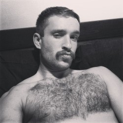 Follow my two hairy men blogs: http://sambrcln.tumblr.com http://hairysex.tumblr.com