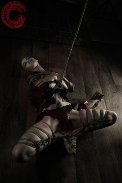 wykd-dave:  http://rope-topia.com/galleries/