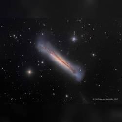 NGC: 3628 The Hamburger Galaxy #nasa #apod #ngc3628 #hamburgergalaxy