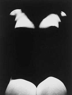nebulously-burnished:  Erwin Blumenfeld      Nude with shadows