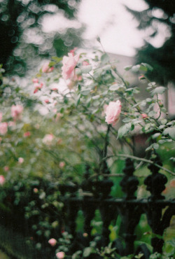 ♡ Pleasure, Baby. ♡