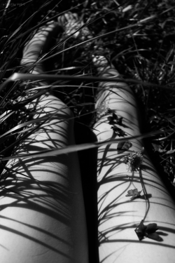 e-pilepsia:  . 