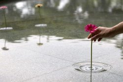 travelingcolors:  Floating Ripple Vases (by oodesign)  Fill your