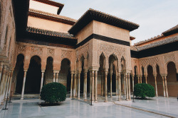 melodyandviolence: Alhambra Palace, Spain by   Yulia Podol'skaya