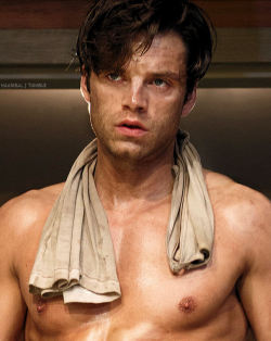 carlgauss: Sebastian Stan [5/?] 