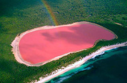 romosity:  Lake Hillier, Western Australia: A naturally pink