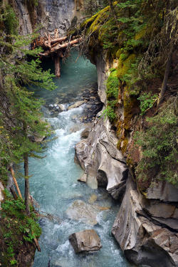 essenceofnxture:    Johnston Canyon, Alberta, CanadaYue Wang