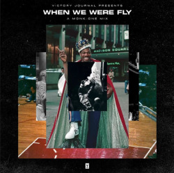 ‘When We Were Fly' The NBA’s leap from cult item to