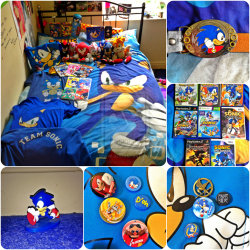 e-vay:  realise-frenchfries:“My Collection of Sonic" This