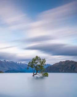 bluishness:  by brentpurcell_le.nz
