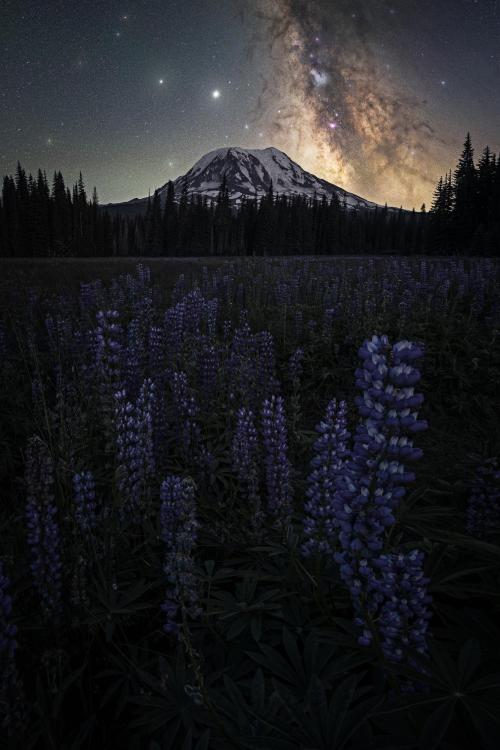 amazinglybeautifulphotography:  The Milky Way over Mt. Adams