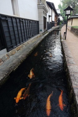 heartisbreaking:  Koi by Teruhide Tomori on Flickr. 