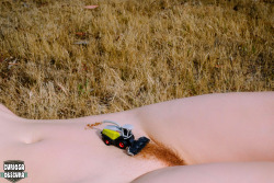 curiosa-obscura: hairy harvest follow us for more homemade nudie