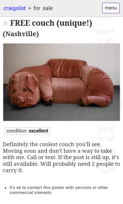 grelliamblaum:  My dad found this couch on Craigslist but our