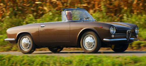 carsthatnevermadeitetc:  Alfa Romeo Giulia GT Spider Prototipo,