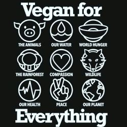 Tag the vegan you love ;) ♡ by realnicoleaniston